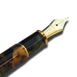 Platinum 3776 Century Celluloid Fountain Pen - Bekko Tortoiseshell - 14k Gold -  - Fountain Pens - Bunbougu